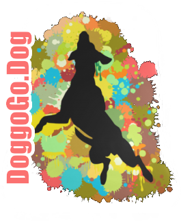 Doggo Go Bozeman, Montana Dog Walking Service